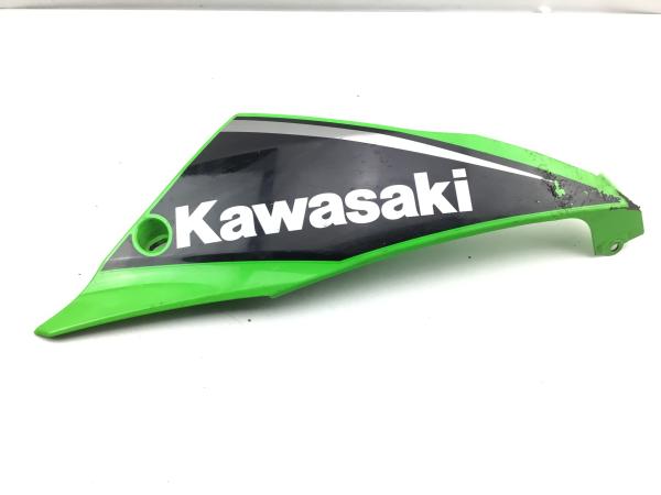 Kawasaki Ninja 650 Seitenverkleidung Verkleidung Bug unten rechts